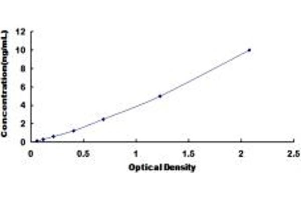 Retinoid X Receptor alpha ELISA Kit