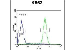 FBXW12 Antibody (C-term) (ABIN654226 and ABIN2844060) flow cytometric analysis of K562 cells (right histogram) compared to a negative control cell (left histogram). (FBXW12 antibody  (C-Term))