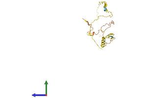 Protein Structure (PS) image for Myelin Associated Oligodendrocyte Basic Protein (MOBP) (AA 1-183) protein (His tag) (ABIN7549537)
