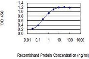 Detection limit for recombinant GST tagged AHRR is 0. (AHRR antibody  (AA 617-715))