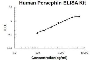 Human Persephin PicoKine ELISA Kit standard curve