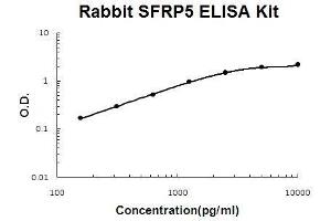 Rabbit SFRP5 PicoKine ELISA Kit standard curve