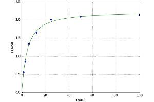 A typical standard curve (NMDA Antibody IgG ELISA Kit)