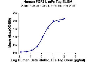 Immobilized Human FGF21 at 2 μg/mL (100 μL/Well) on the plate. (FGF21 Protein (mFc-Avi Tag))