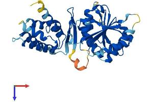 Family with Sequence Similarity 86, Member B2 (FAM86B2) (AA 1-330) protein (His tag)