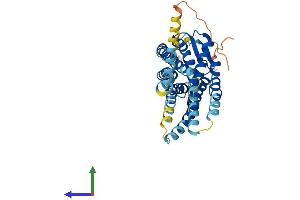 AlphaFold protein structure predicition of Mouse Recombinant Cxcr4 Protein, UniprotID P70658 (CXCR4 Protein (AA 1-359) (His tag))