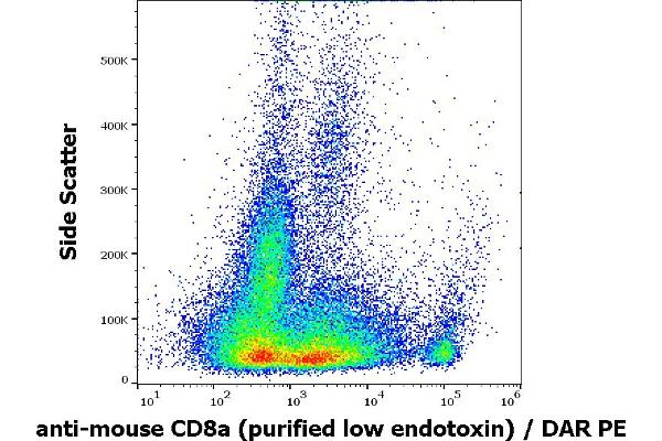 CD8 alpha antibody