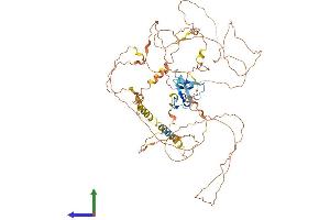AlphaFold protein structure predicition of Mouse Recombinant Scel Protein, UniprotID Q9EQG3 (SCEL Protein (AA 1-652) (His tag))