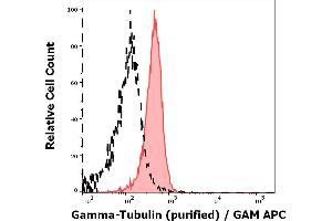 Flow Cytometry (FACS) image for anti-Tubulin, gamma 1 (TUBG1) (C-Term) antibody (ABIN94313)
