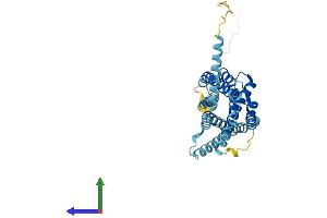 AlphaFold protein structure predicition of Human Recombinant ACKR4 Protein, UniprotID Q9NPB9
