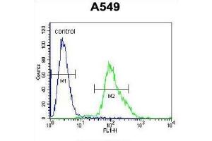 Flow Cytometry (FACS) image for anti-Forkhead Box N1 (FOXN1) antibody (ABIN2996514) (FOXN1 antibody)