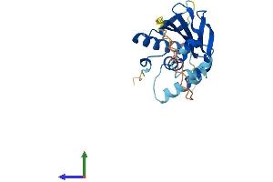AlphaFold protein structure predicition of Mouse Recombinant Atg10 Protein, UniprotID Q8R1P4 (ATG10 Protein (AA 1-215) (His tag))