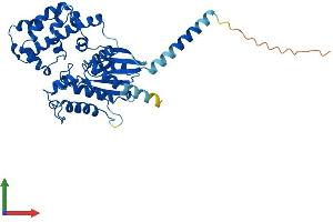 AlphaFold protein structure predicition of Human Recombinant GNA13 Protein, UniprotID Q14344 (GNA13 Protein (AA 1-377) (His tag))