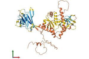 AlphaFold protein structure predicition of Human Recombinant ERVFC1-1 Protein, UniprotID P60608 (ERVFC1-1 Protein (AA 1-527) (His tag))