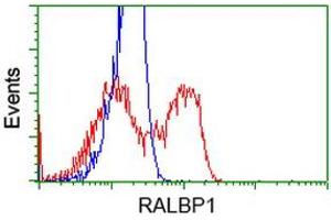 HEK293T cells transfected with either RC201524 overexpress plasmid (Red) or empty vector control plasmid (Blue) were immunostained by anti-RALBP1 antibody (ABIN2453581), and then analyzed by flow cytometry. (RALBP1 antibody)