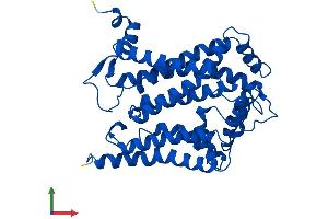 AlphaFold protein structure predicition of Mouse Recombinant Mt-Cyb Protein, UniprotID P00158