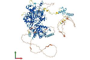 Protein Structure (PS) image for Processing of Precursor 1, Ribonuclease P/MRP Subunit (S. Cerevisiae) (POP1) (AA 1-1024) protein (His tag) (ABIN7555055)