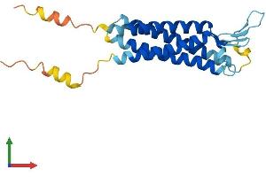 AlphaFold protein structure predicition of Mouse Recombinant Tmem37 Protein, UniprotID Q9JJV3