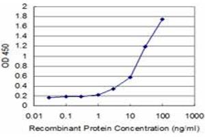 Detection limit for recombinant GST tagged TCEA3 is approximately 0. (TCEA3 antibody  (AA 1-348))