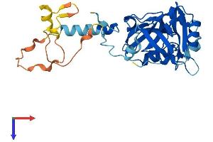AlphaFold protein structure predicition of Human Recombinant SDCBP2 Protein, UniprotID Q9H190 (SDCBP2 Protein (AA 1-292) (His tag))