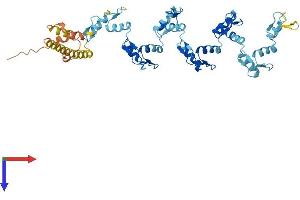 Protein Structure (PS) image for Zinc Finger Protein 117 (ZNF117) (AA 1-483) protein (His tag) (ABIN7545445)