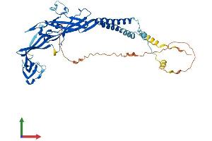 AlphaFold protein structure predicition of Human Recombinant P2RX2 Protein, UniprotID Q9UBL9 (P2RX2 Protein (AA 1-471) (His tag))