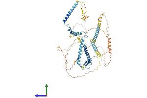 Protein Structure (PS) image for Nuclear Speckle Splicing Regulatory Protein 1 (NSRP1) (AA 1-558) protein (His tag) (ABIN7549940)