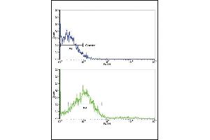 Flow cytometric analysis of NCI- cells using ROR2 Antibody (N-term)(bottom histogram) compared to a negative control cell (top histogram). (ROR2 antibody  (N-Term))