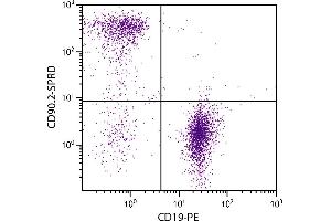 BALB/c mouse splenocytes were stained with Rat Anti-Mouse CD90. (CD90.2 / Thy-1.2 antibody  (SPRD))