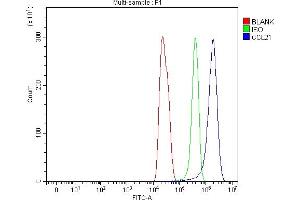 Flow Cytometry analysis of C6 cells using anti-Ccl21 antibody (ABIN7600807).
