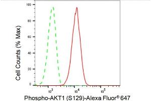 Flow cytometric analysis of Phospho-AKT1 (S129) expression in C2C12 cells using Phospho-AKT1 (S129) antibody (ABIN7800785), 1:2,000). (Recombinant AKT1 antibody  (pSer129))