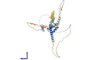 AlphaFold protein structure predicition of Human Recombinant DMBX1 Protein, UniprotID Q8NFW5 (DMBX1 Protein (AA 1-382) (His tag))