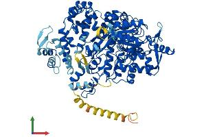 AlphaFold protein structure predicition of Human Recombinant RRM1 Protein, UniprotID P23921 (RRM1 Protein (AA 1-792) (His tag))