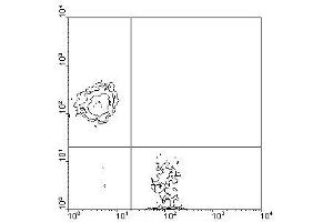 Image no. 1 for anti-CD3 epsilon (CD3E) antibody (PE) (ABIN135089) (CD3 epsilon antibody  (PE))