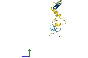 Protein Structure (PS) image for Poly Binding Protein Interacting Protein 2 (PAIP2) (AA 1-127) protein (His tag) (ABIN7550629)