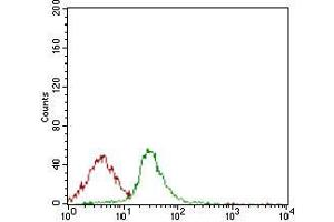 Flow cytometric analysis of Jurkat cells using CD74 mouse mAb (green) and negative control (red). (CD74 antibody  (AA 1-106))