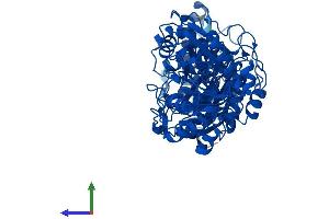 Protein Structure (PS) image for Transketolase (TKT) (AA 1-623) protein (His tag) (ABIN7544474)