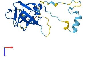 Protein Structure (PS) image for Endogenous Retrovirus Group K, Member 18 (ERVK-18) (AA 1-156) protein (His tag) (ABIN7545121)
