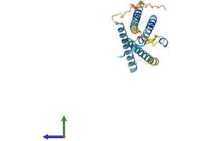 AlphaFold protein structure predicition of Human Recombinant LAPTM4A Protein, UniprotID Q15012