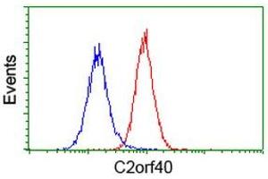 Image no. 2 for anti-Chromosome 2 Open Reading Frame 40 (C2orf40) antibody (ABIN1497049)