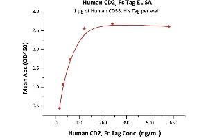 CD2 (CD2) (AA 25-209) (Active) protein (Fc Tag)