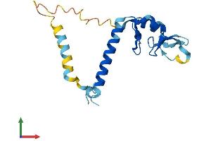 AlphaFold protein structure predicition of Mouse Recombinant Rnf181 Protein, UniprotID Q9CY62