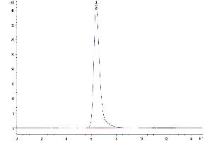 The purity of Human IL-21R is greater than 95 % as determined by SEC-HPLC. (IL21 Receptor Protein (AA 20-236) (Fc Tag))