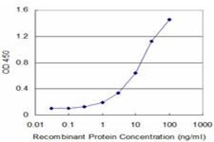 Detection limit for recombinant GST tagged TARBP2 is approximately 0. (TARBP2 antibody  (AA 141-250))