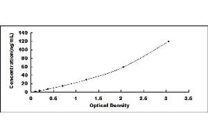 Typical standard curve (Filamin A ELISA Kit)