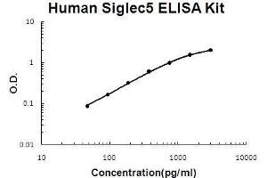 Human Siglec5 PicoKine ELISA Kit standard curve