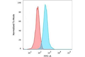 Flow Cytometric Analysis of HeLa cells using Beta-Catenin Recombinant Rabbit Monoclonal Ab (CTNNB1/2030R). (Recombinant CTNNB1 antibody)