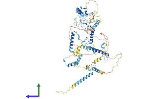 AlphaFold protein structure predicition of Human Recombinant MPHOSPH10 Protein, UniprotID O00566