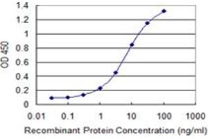 Detection limit for recombinant GST tagged COX5A is 0. (COX5A antibody  (AA 1-150))