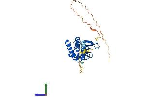Protein Structure (PS) image for B-Cell Translocation Gene 4 (BTG4) (AA 1-223) protein (His tag) (ABIN7552711)